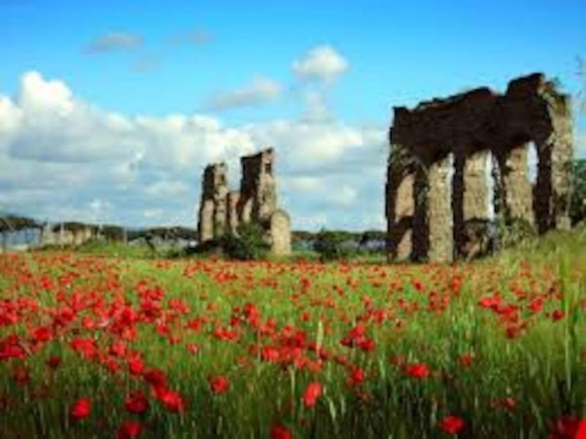 Amazing Appia Antica - Campidoglio Apartment Roma Ngoại thất bức ảnh